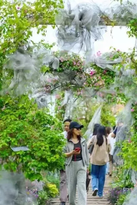 绳梯训练篮球_1